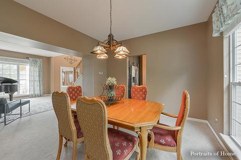 12940 Denise St, Plainfield, IL 60544 photo 17