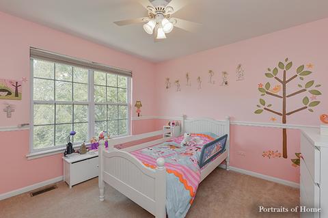 12940 Denise St, Plainfield, IL 60544 photo 29