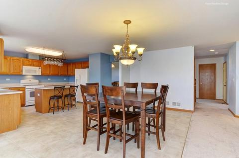 7602 Locust Ln, Plainfield, IL 60586 photo 7