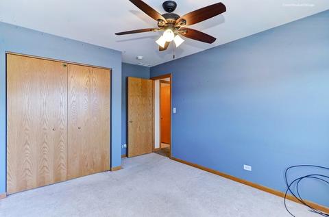 7602 Locust Ln, Plainfield, IL 60586 photo 22
