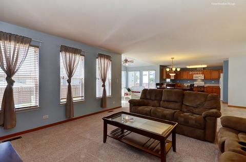 7602 Locust Ln, Plainfield, IL 60586 photo 14