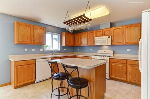 7602 Locust Ln, Plainfield, IL 60586 photo 9