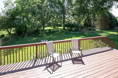 710 Ash St, Algonquin, IL 60102 photo 17