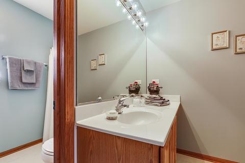 7511 Townsend Blvd, Plainfield, IL 60586 photo 23
