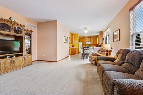 7511 Townsend Blvd, Plainfield, IL 60586 photo 9
