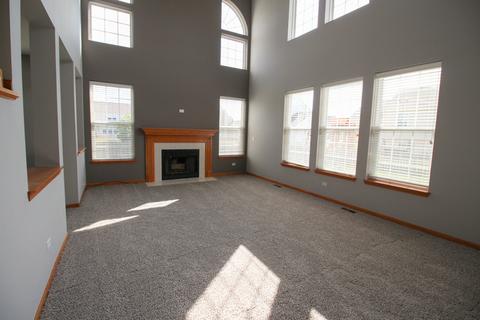 7652 Pin Oak Ct, Plainfield, IL 60586 photo 28