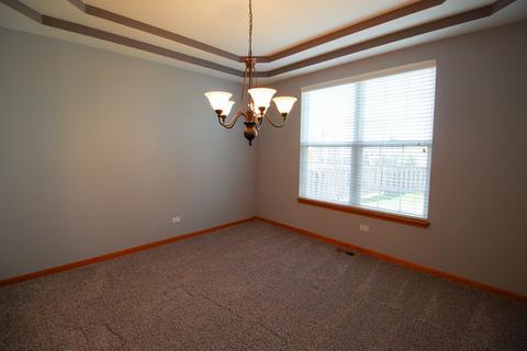 7652 Pin Oak Ct, Plainfield, IL 60586 photo 7