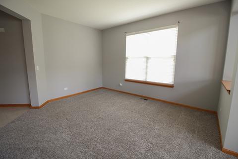 7652 Pin Oak Ct, Plainfield, IL 60586 photo 27