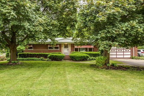 1454 S Wolf Rd, Des Plaines, IL 60018 photo 1