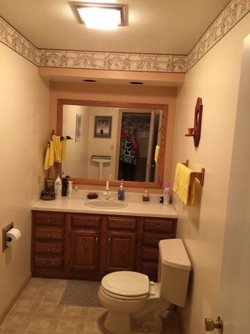 28 Deerpath Rd, Deer Park, IL 60010 photo 7