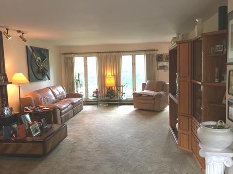 28 Deerpath Rd, Deer Park, IL 60010 photo 3