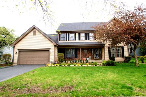 985 Stockbridge Pl, Elgin, IL 60120 photo 1