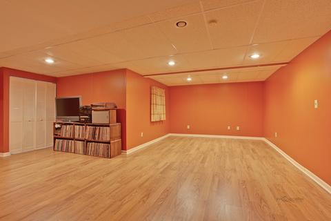 64 Adare Dr, Cary, IL 60013 photo 26