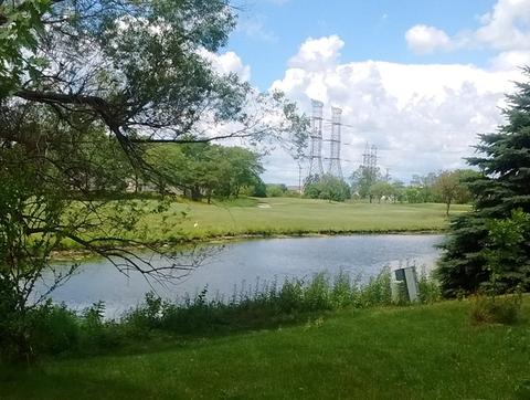 20937 W Ardmore Cir, Plainfield, IL 60544 photo 3