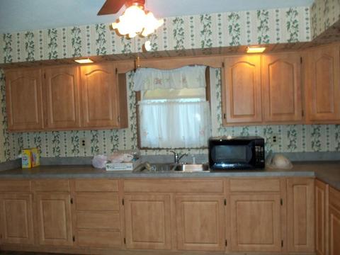 322 E Chapin St, Morris, IL 60450 photo 4