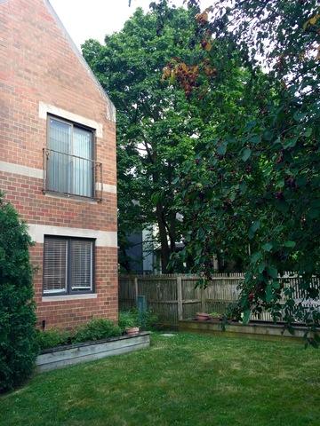 1375 E 57th St, Chicago, IL 60637 photo 3