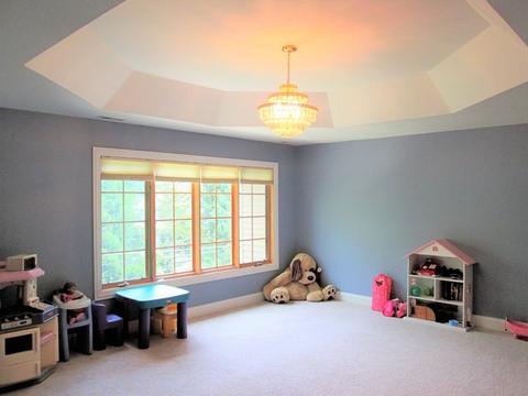 919 Arbor Ave, Wheaton, IL 60189 photo 15