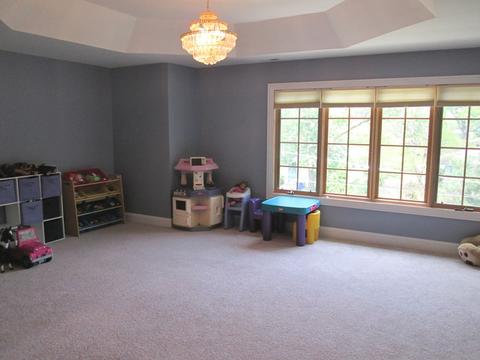 919 Arbor Ave, Wheaton, IL 60189 photo 16