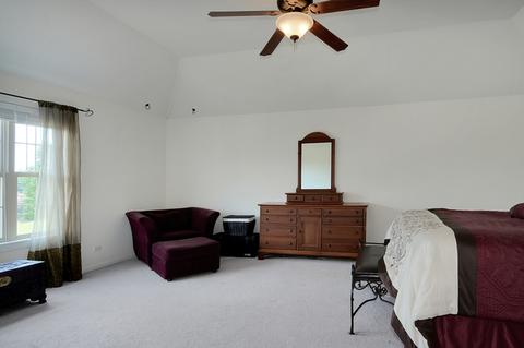 24255 Golden Sunset Dr, Plainfield, IL 60585 photo 9