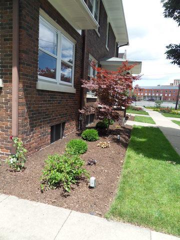 321 Marion Ave, Aurora, IL 60505 photo 45
