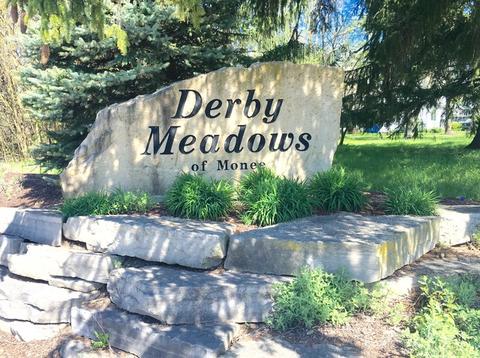 25938 Derby Dr, Monee, IL 60449 photo 3