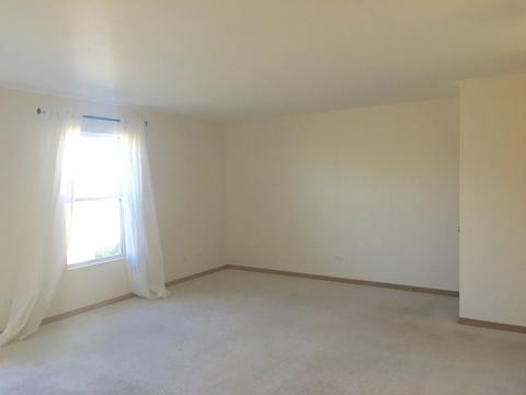 25938 Derby Dr, Monee, IL 60449 photo 7