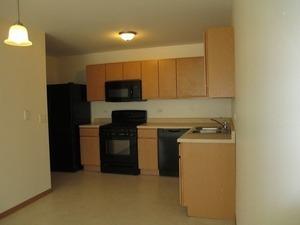 25938 Derby Dr, Monee, IL 60449 photo 4