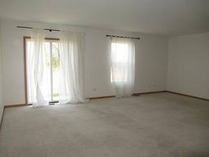 25938 Derby Dr, Monee, IL 60449 photo 6