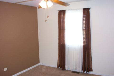 2803 Lektorich Ln, Plainfield, IL 60586 photo 27