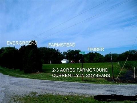 1217 E County Highway 30, Danforth, IL 60930 photo 26