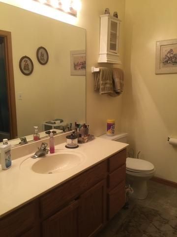 16640 W Adobe Dr, Lockport, IL 60441 photo 4