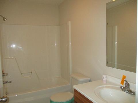 1055 S Yates Ave, Kankakee, IL 60901 photo 10