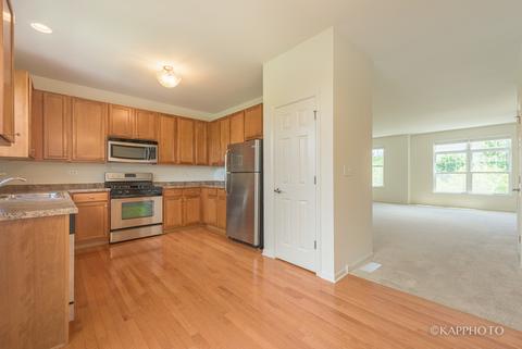 438 N Commerce St, Aurora, IL 60504 photo 6