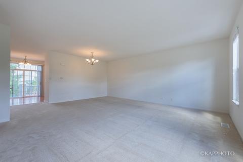 438 N Commerce St, Aurora, IL 60504 photo 5