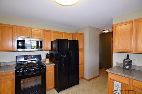 1100 Sharp Dr, Plano, IL 60545 photo 27
