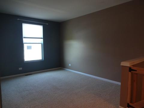 1051 Crane Pointe, Elgin, IL 60124 photo 17