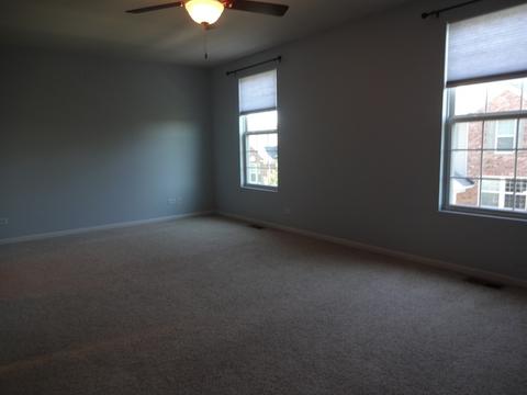 1051 Crane Pointe, Elgin, IL 60124 photo 20