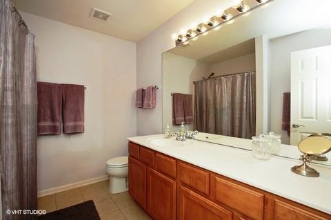 2439 Emily Ln, Elgin, IL 60124 photo 8