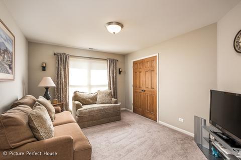 11664 Cinema Dr, Plainfield, IL 60585 photo 20