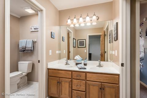 11664 Cinema Dr, Plainfield, IL 60585 photo 19