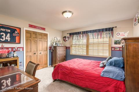 11664 Cinema Dr, Plainfield, IL 60585 photo 21
