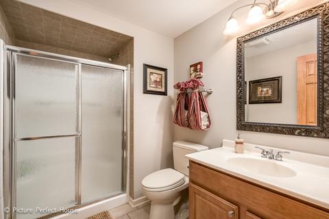 11664 Cinema Dr, Plainfield, IL 60585 photo 24