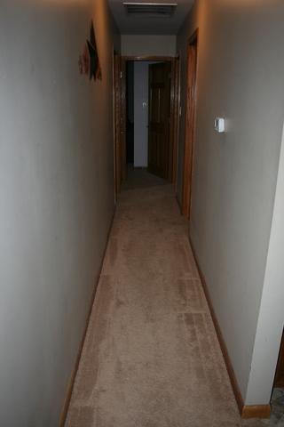 830 Maple Ln, Peotone, IL 60468 photo 7