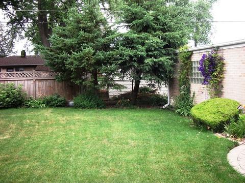 322 E Myrick Ave, Addison, IL 60101 photo 6