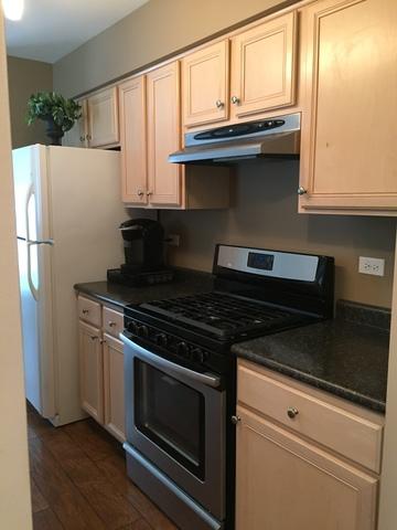 2885 Stuart Kaplan Ct, Aurora, IL 60503 photo 9
