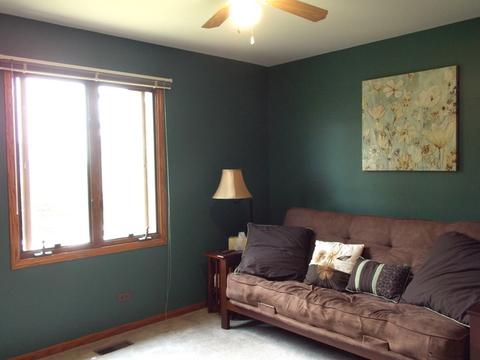 24913 Vermette Rd, Plainfield, IL 60585 photo 23