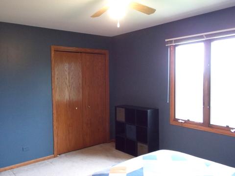 24913 Vermette Rd, Plainfield, IL 60585 photo 19
