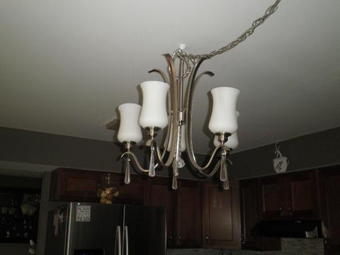 147 Brookside Dr, Elgin, IL 60123 photo 17