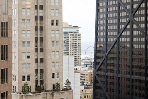 100 E Walton St #38B, Chicago, IL 60611 photo 8