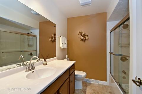 20542 Parthenon Way, Olympia Fields, IL 60461 photo 9
